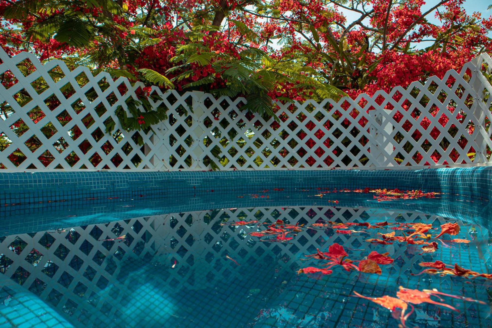 Casa Wayak Hotel แคนคูน ภายนอก รูปภาพ